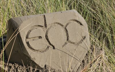 Commu­nity building in colle­giale co-creatie met zand