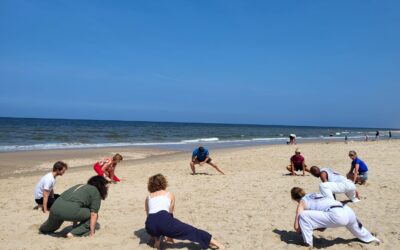 Capoeira op 18 juni – bijzon­dere sport onder de aandacht